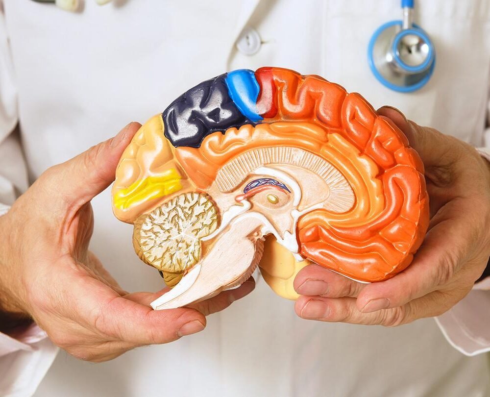 Brain surgeon in mandla