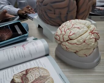 Neurosurgeon in shahdol