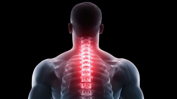 Back Pain, Nech Pain